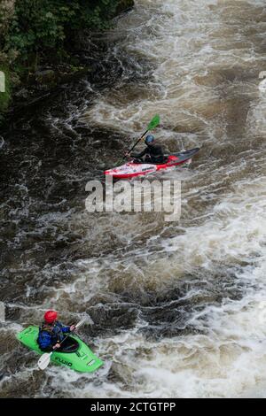 Kayakistes sur la rivière Dee à Llangollen Denbighshire pays de Galles Royaume-Uni Banque D'Images