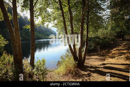 CAVE JUNCTION, OREGON, ÉTATS-UNIS - 11 août 2018 : vue sur la rivière Illinois à travers les arbres au parc national de la rivière Illinois dans le sud de l'Oregon. Banque D'Images