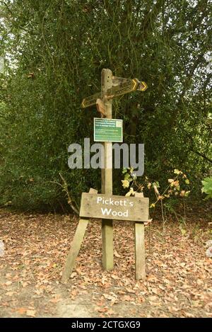 Piquetage sentier en bois Gatwick Crawly Banque D'Images