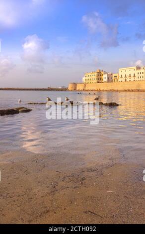 Plage de Puritate à Salento, Apulia (ITALIE). C'est la plage du centre historique de Gallipoli. Banque D'Images