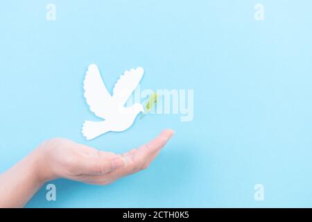 Main couvrant une colombe blanche dans l'air. Colombe blanche en papier découpé pour un arrière-plan de la Journée de la paix. Journée internationale de la paix. Banque D'Images