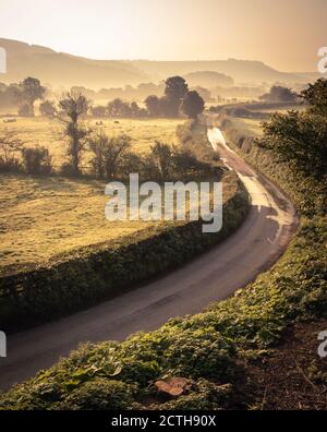 Country Lane avec un fond brumeux, North Yorkshire Banque D'Images