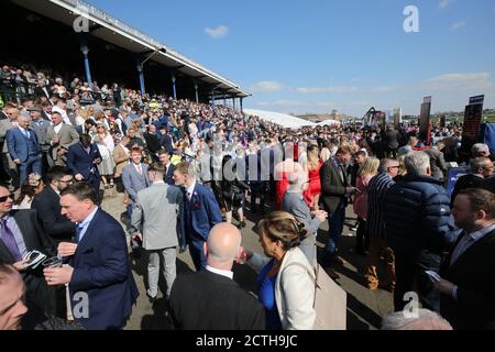 Scottish Grand National sur le parcours de course d'ayr. L'une des plus grandes réunions de course d'Écosse attire d'énormes foules à la réunion. La réunion est également un bon coup de pouce à l'économie locale soutenant tout les magasins, les fournisseurs d'hébergement, les taxis, les restaurants Banque D'Images