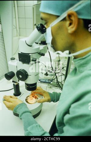 Naissance de jumeaux après fécondation in vitro, Lyon, France, .Archives 90ies Banque D'Images