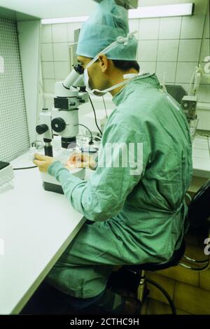 Naissance de jumeaux après fécondation in vitro, Lyon, France, .Archives 90ies Banque D'Images