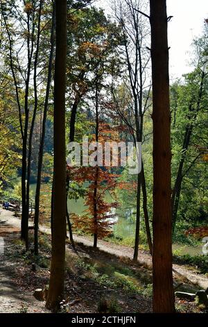 Sparbach, Autriche - 26 octobre 2019 : des personnes non identifiées reposent sur un étang, une impression d'automne dans la réserve naturelle de Sparbach, Basse-Autriche Banque D'Images