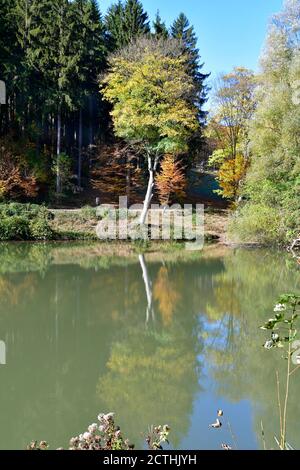 Autriche, impression d'automne dans la réserve naturelle de Sparbach en Basse-Autriche Banque D'Images