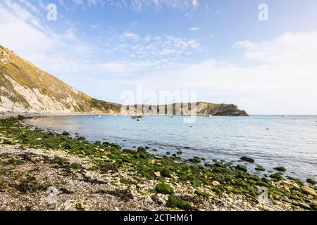 Vue pittoresque sur la côte de la baie et des falaises de craie à Lulworth Cove, sur le site classé au patrimoine mondial de la côte Jurassic, à Dorset, au sud-ouest de l'Angleterre Banque D'Images