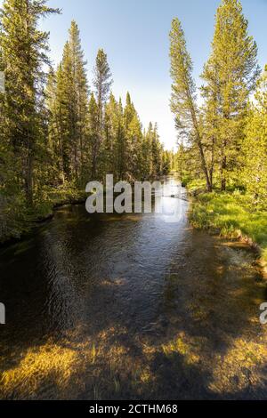 Rivière Firehole le long de la piste Lone Star, parc national de Yellowstone Banque D'Images