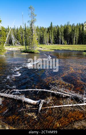 Rivière Firehole le long de la piste Lone Star, parc national de Yellowstone Banque D'Images