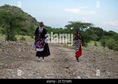 TANZANIE, AFRIQUE DE L'EST - JANVIER 2020 : deux femmes Masai en vêtements et armes traditionnels marchent dans la savane, près de la route de Gravel Banque D'Images