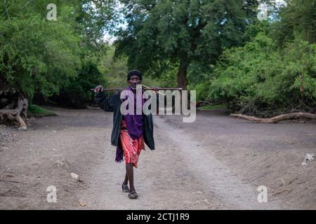 TANZANIE, AFRIQUE DE L'EST - JANVIER 2020 : un homme plus âgé de Maasai en vêtements et armes traditionnels marche dans la savane, près de la route de Gravel entourée Banque D'Images