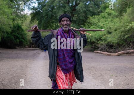 TANZANIE, AFRIQUE DE L'EST - JANVIER 2020 : un homme plus âgé de Maasai en vêtements et armes traditionnels marche dans la savane, près de la route de Gravel entourée Banque D'Images