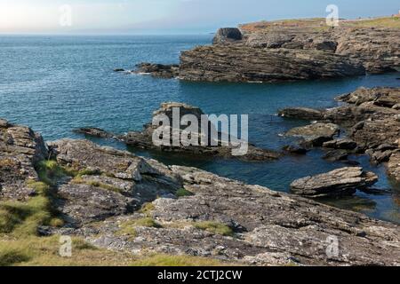 Penrhos Bay près de Trearddur sur l'île Sainte, Anglesey, au nord du pays de Galles, est une petite crique avec des falaises spectaculaires composées de roche précambrienne. Banque D'Images