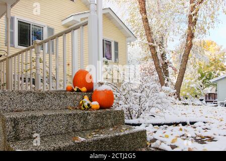 Décoration extérieure saisonnière. Fond de neige précoce, concept de changement climatique. Groupe de citrouilles sur une maison privée porche escaliers comme une décoration Banque D'Images