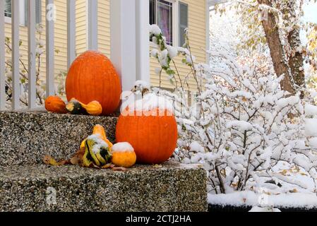 Décoration extérieure saisonnière. Fond de neige précoce, concept de changement climatique. Groupe de citrouilles sur une maison privée porche escaliers comme une décoration Banque D'Images