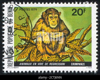 BÉNIN - VERS 1979: Timbre imprimé par le Bénin, montre Chimpanzee, vers 1979. Banque D'Images