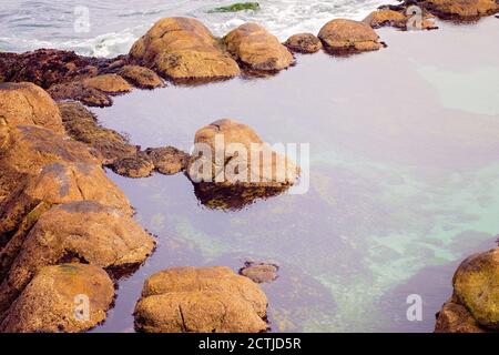 Groupe de rochers sur une plage à marée basse à Monterey, Californie, États-Unis Banque D'Images