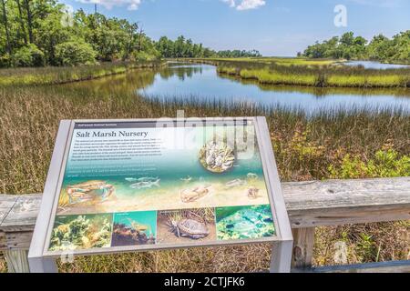 Panneau d'information de Salt Marsh au centre des visiteurs de la région de Davis Bayou, sur la côte nationale des îles Gulf, à Ocean Springs, Mississippi Banque D'Images