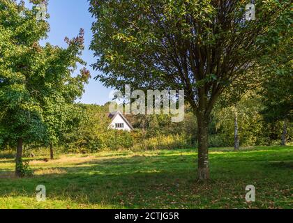 Magnifique Brueton Park à Solihull, West Midlands, Angleterre. Banque D'Images