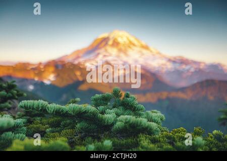 Magnifique flou mt. Rainier du sommet de Tolmie Peak, États-Unis Banque D'Images