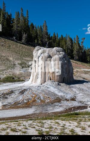 Lone Star geyser, le Parc National de Yellowstone Banque D'Images