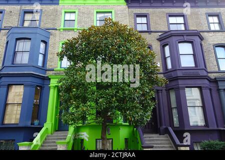 Maisons colorées avec un papier peint d'arbre, les plus belles rues du monde papier peint, Notting Hill, Londres Banque D'Images