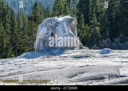 Lone Star geyser, le Parc National de Yellowstone Banque D'Images