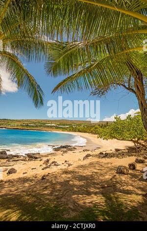 Vue sur la plage dorée et les palmiers du parc Hulopo'e Beach, et le complexe four Seasons de Manele Bay, Lanai Island, Hawaii, États-Unis. Banque D'Images