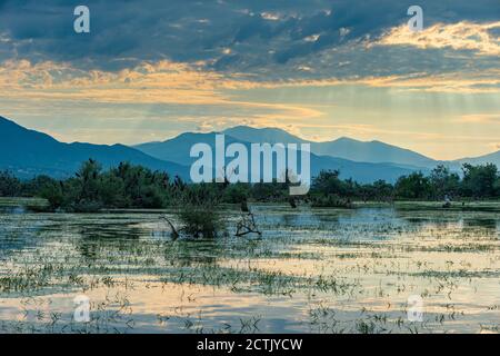 Lac Kerkini à l'aube, Macédoine, Grèce Banque D'Images