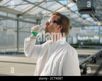 Scientifique dans un liquide de serre à boire à partir de bécher Banque D'Images