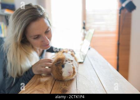 Une femme blonde a caressé un cochon d'inde tout en étant assise avec un ordinateur portable tableau Banque D'Images