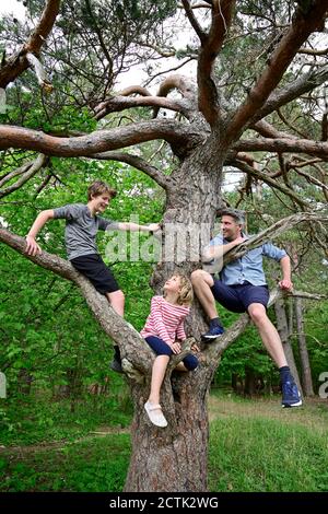 Les enfants et le père sourient tout en étant assis sur la branche de l'arbre en forêt Banque D'Images