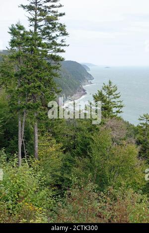 Sentier automobile de la route du sentier Fundy Trail Parkway, nouveau-Brunswick, Canada Banque D'Images