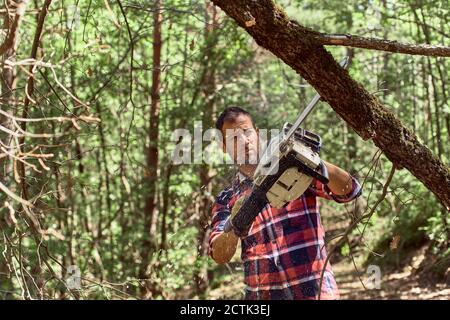 Bûcheron coupant une branche d'arbre avec une tronçonneuse en forêt Banque D'Images