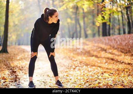 Jeune femme pendant la pause dans la forêt d'automne Banque D'Images