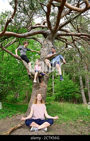 Père et enfants assis à la branche pendant que la femme médite sous arbre en forêt Banque D'Images