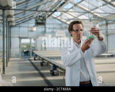 Scientifique examinant le liquide dans une serre Banque D'Images