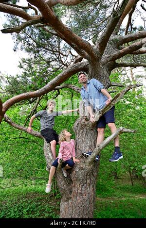 Père jouant avec des enfants en se tenant sur la branche d'arbre dans forêt Banque D'Images