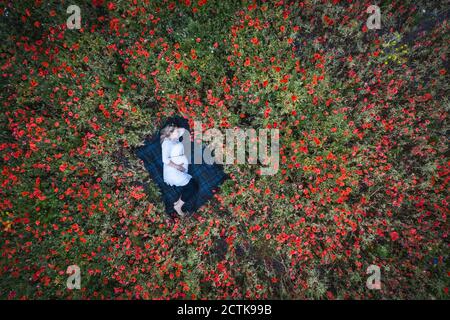 Femme enceinte dormant sur une couverture dans le champ des coquelicots Banque D'Images