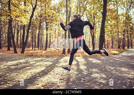 Jeune femme jogging dans la forêt d'automne Banque D'Images