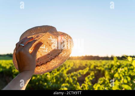 Main de femme tenant chapeau de paille contre le soleil, vignoble, Provence, France Banque D'Images