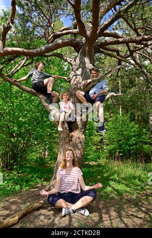 Homme avec des enfants jouant pendant que la mère méditant sous l'arbre dedans forêt Banque D'Images