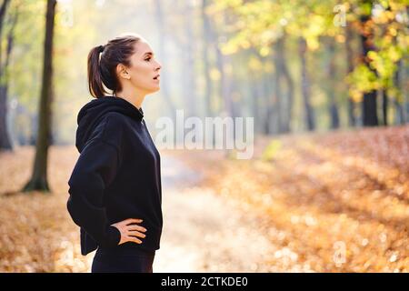 Jeune femme pendant la pause dans la forêt d'automne Banque D'Images