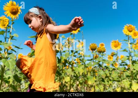 Jolie fille marchant dans le champ de tournesol pendant la journée ensoleillée Banque D'Images