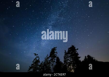 Magnifique ciel nocturne laiteux avec arbres silhouettés. 4K 24 IPS. Banque D'Images