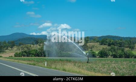 Un irrigateur vaporise de l'eau sur une récolte de canne à sucre Banque D'Images