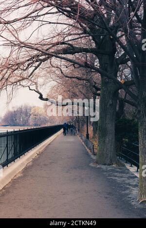 Trottoir sur Central Park, photographie à New York, autunm, hiver, route Banque D'Images