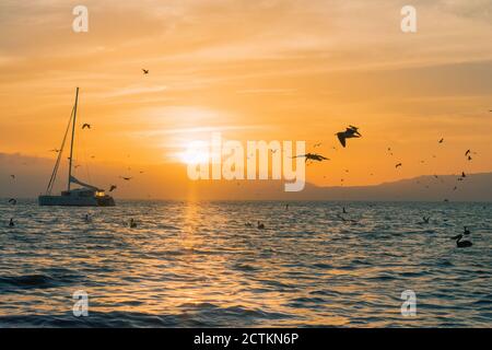 Bateau dans la mer et oiseaux volent autour pendant le coucher du soleil Banque D'Images