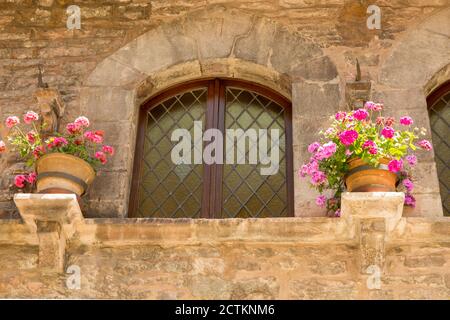 Assise, région de l'Ombrie, Italie. Géraniums roses en pots de fleurs décorant les murs extérieurs d'une maison. (À usage éditorial uniquement) Banque D'Images